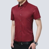 Playboy, мужская рубашка, лонгслив, осенняя куртка, короткий рукав, с рукавом