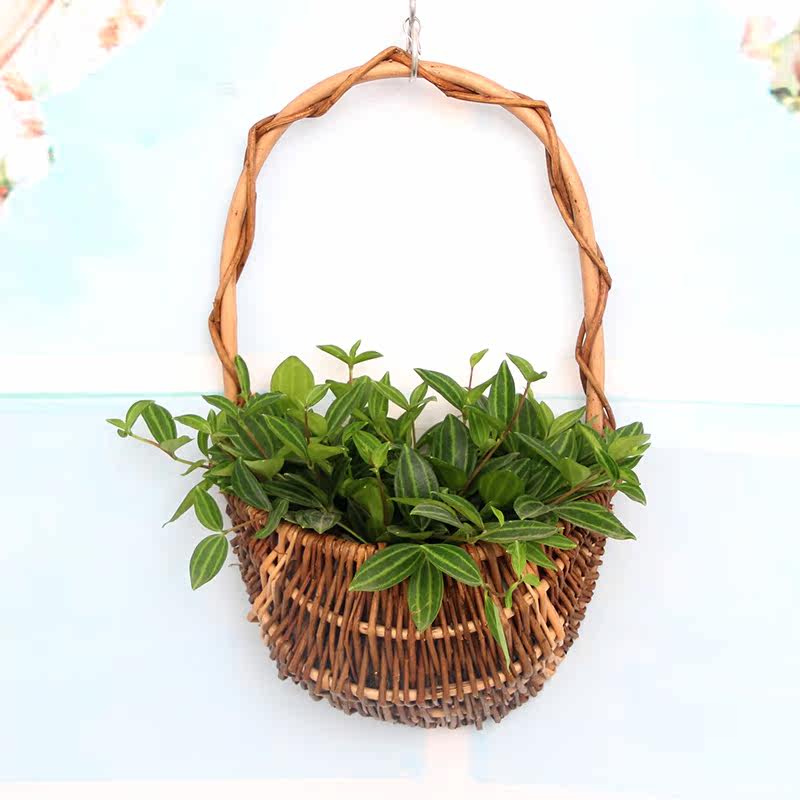 空荡荡的墙上挂上这款花篮美极了