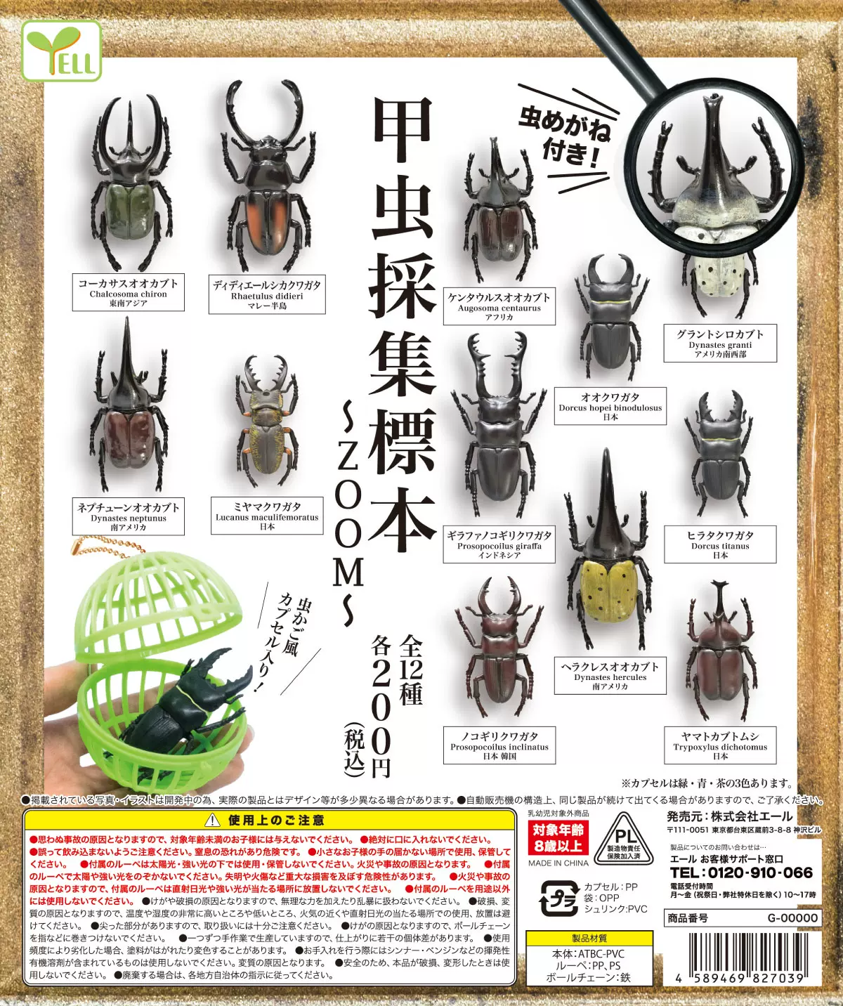 现货日本Yell扭蛋昆虫模型摆件仿真独角仙玩具甲虫采集标本-Taobao