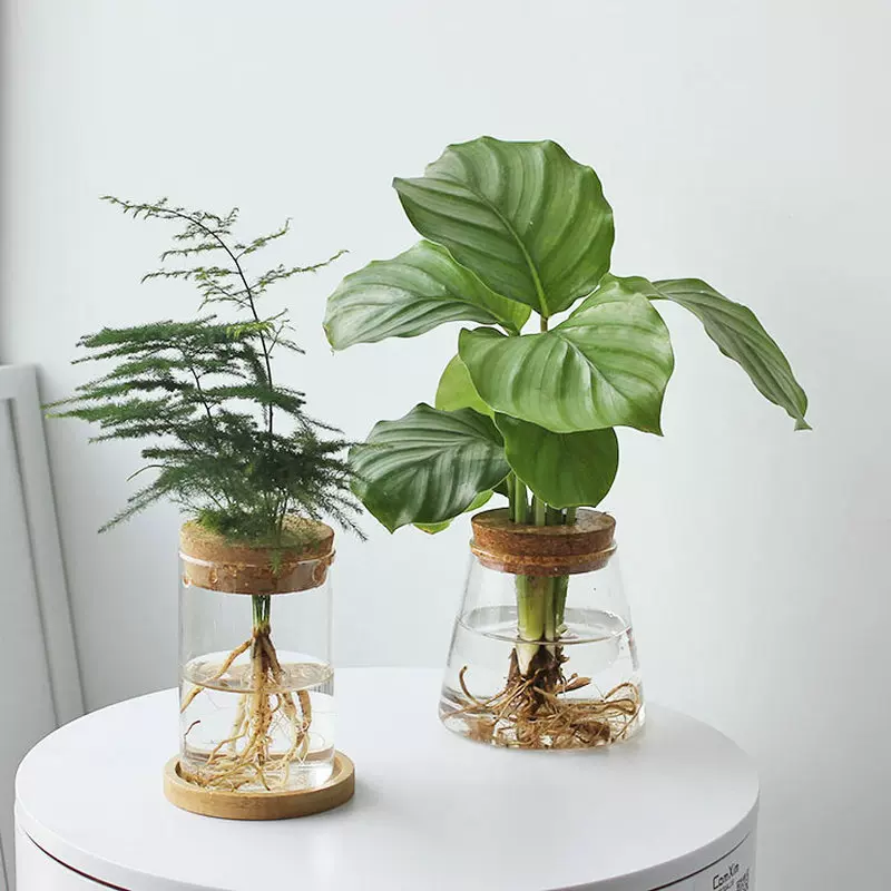 日式玻璃花瓶ins水培透明花器酒店插花水养绿植家居