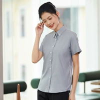 602 коротко -серо -верховой топ