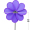 紫色八叶(直径30cm)