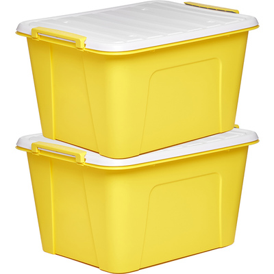 茶花2个塑料收纳箱储物盒家用整理储物箱宿舍衣柜衣服收纳整理箱