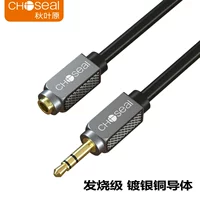 Лихорадка 【Серебряная модель】 QS3552