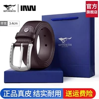 Модный плагоз [Spot Speed ​​Section]