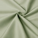 Ai green 160*240 60 Pure Cotton