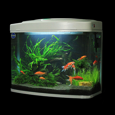 爱逛街为您找到日胜鱼缸相关的宝贝,您可以在下面的板块中挑选喜欢的