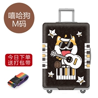 Хип-хоп собака M код 22-25 дюймов