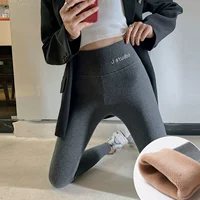 Плел-глупый серый