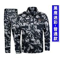 Обычный черный орл [набор]