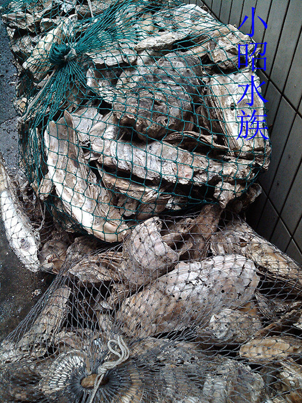 

Фильтрационное оборудование для аквариума Oyster shell 20kg