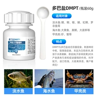Dopa Salt Dmpt (двойной ускоритель) в бутылках 60 г, 1 ложка 1,5 г