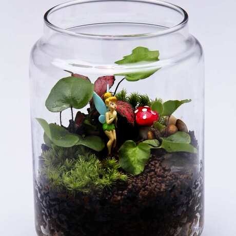 苔藓微景观 治愈系植物小品 清凉桌面花园 情人节礼物 迪士尼精灵