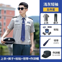 Стиль 2011 года [светло-серый коротки