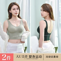 Светло -зеленый, давая чернила зеленые