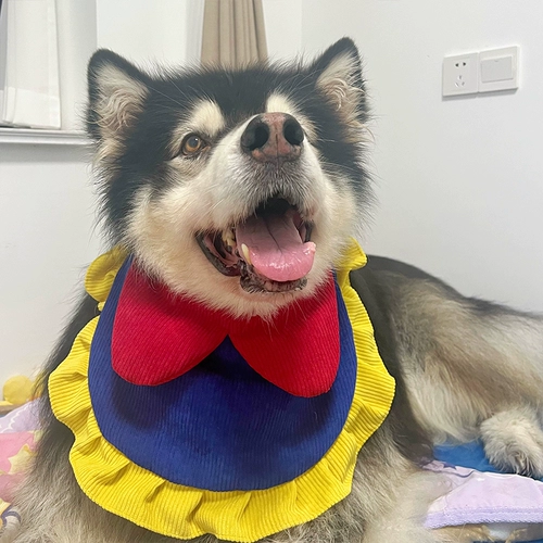 Домашние собаки осенью и зимние кружевные шарфы у крупных собак при уничтожении воды