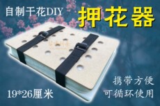 Выбивая прибор 押花器压花器压花板植物标本制作工具手工diy押花板干花材水果