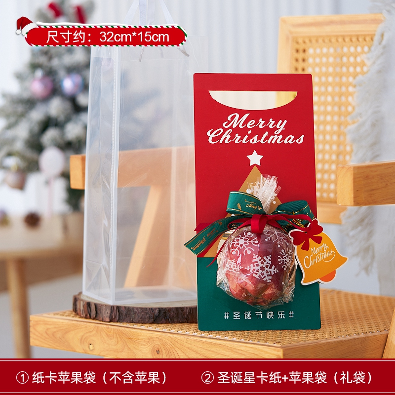 Christmas Star Apple Bag (Gift Bag Style)