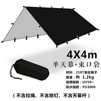 Черный (4*4) одинарный навес + квадратная внешняя сумка