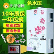 Газовый водонагреватель