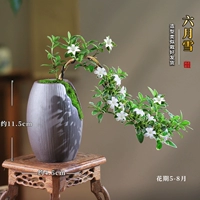 Формирование коллекции бассейна из дерева плюс купить подарочный водный диск