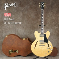 ES-335 фигурировал цвет журнала и