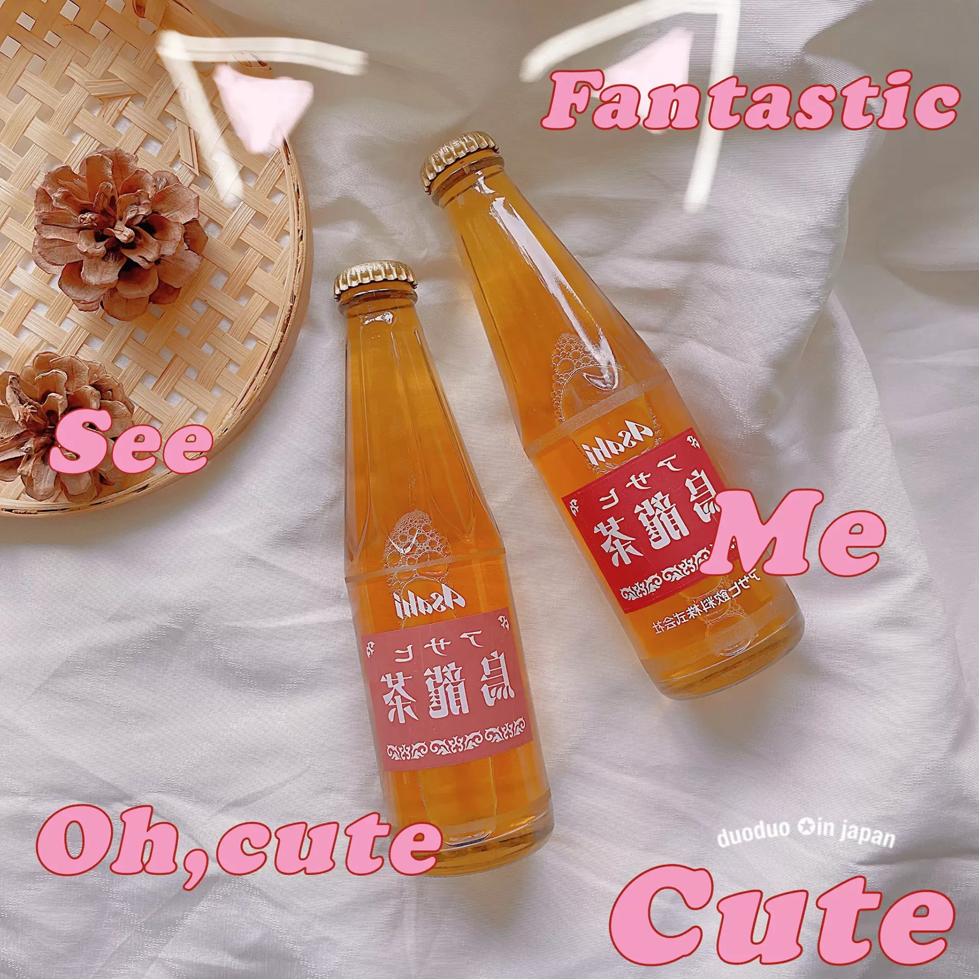 季节限定 日本北海道letao季节限定抹茶双层乳酪芝士蛋糕盒装