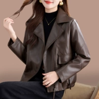 Темно -коричневый [весна и осенняя панда]