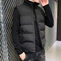 2009 Black