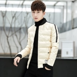 Зимняя мужская куртка, короткий демисезонный трендовый пуховик, 2019, в корейском стиле