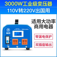 Индустриальное издание 3000 Вт (China Electric Overseas) с 110 В до 220 В