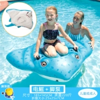 Electric Ray 2024 Новый взрослый вес 1 кг