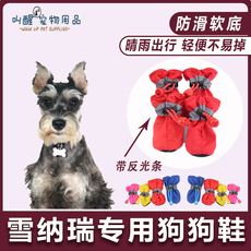 Обувь для собак