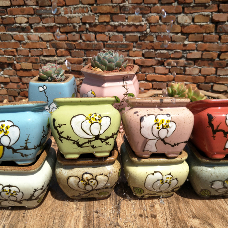 手绘肉肉多肉花盆粗陶小创意老桩韩国韩式多肉植物花盆陶瓷土陶罐