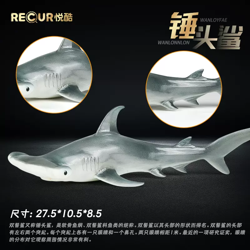 重现recur 锤头鲨玩具软胶儿童仿真海洋世界动物模型塑胶