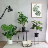 Симуляция скандинавского растения Творческая гостиная в помещении декоративные цветочные декоративные гостиные фальшивые зеленые посадки