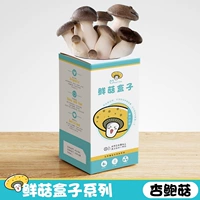 Плевротальный эрингейский грибная коробка (купить 1 получить 1 Get 1)