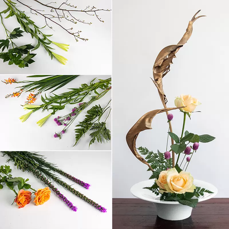 立日蔭藝術花藝插花鮮花花材中式日式花道插花材料小原流寫景下草