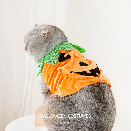Хэллоуин одежда для домашних животных одежда Festival Fronge Change, собачья одежда маленькая собака, взрослая кошка и кошка забавная одежда