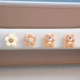[Mi Rong Smile Flower Brown Plum Bear 4 Pack] Вставьте крючок