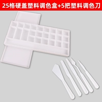 25 сетка с твердой крышкой пластиковой пакетной коробки+5 пластикового цветового ножа