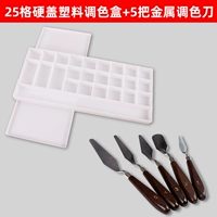 25 сетка с твердой крышкой пластиковой цветовой коробки +5 металлический спаринг нож