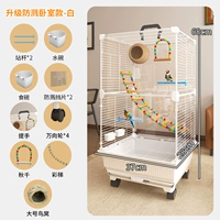 Набор для брызгопроницаемых зерен 4 [набор травы гнездо + гнездо +