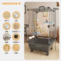 Набор для брызгопроницаемых зерен 3 [8 -часовые качели + цветные лестницы] - черный