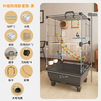 Набор с брызгнепроницаемым зерном 4 [набор травяной гнезды с 9 частями + цветная лестница] - черная