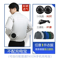 Полиэфирная хлопчатобумажная одежда*1 (цветные замечания)+аксессуары (требуется самостоятельная зарядка сокровища)