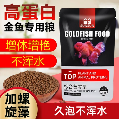 Золотая рыба кормит небольшую золотую рыбку, рыбу, рыбу, рыбу, рыбу, рыбу, кормление рыбы, домохозяйственные домохозяйства вверху и небольшие