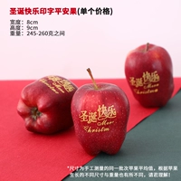 Рождественская печать пинг фрукты (одна цена)