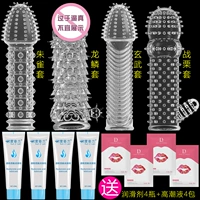 Suzaku+Dragon Scale+Xuanwu+Shudder