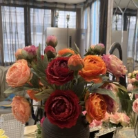 Оранжевый коралловый чай улун Да Хун Пао